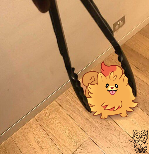 Gibb 💛🦈 🔜 CFZ26 tweet media