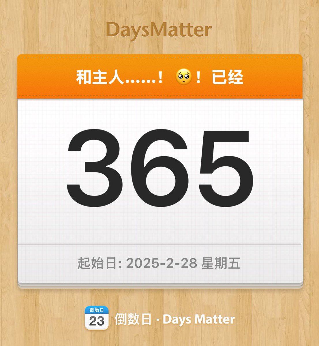 和主人的一周年🥺嘿嘿