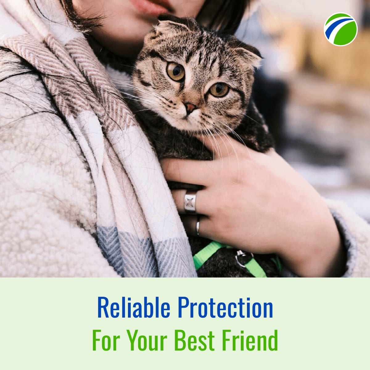 Freeway Insurance tweet media