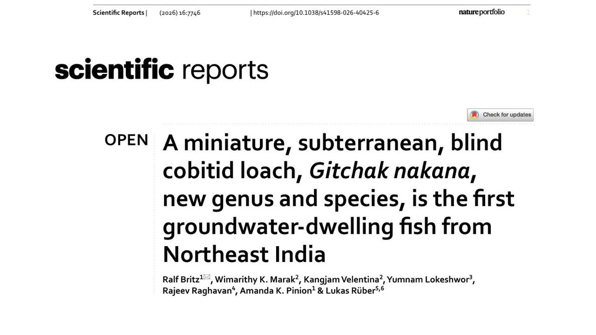 Rajeev Raghavan tweet media