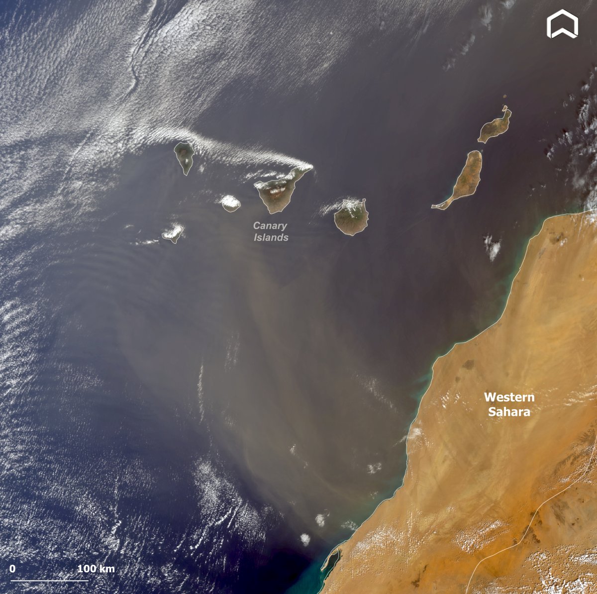 ADAM Platform tweet media