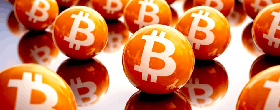 🏆 $50 in $BTC Giveaway

• Like ❤️
• Share 🔄
• Follow my bitcoin maximalist friend <a href="/RealBigToshi/">Big Toshi</a> and Me
• Tag 2 friends

48hrs