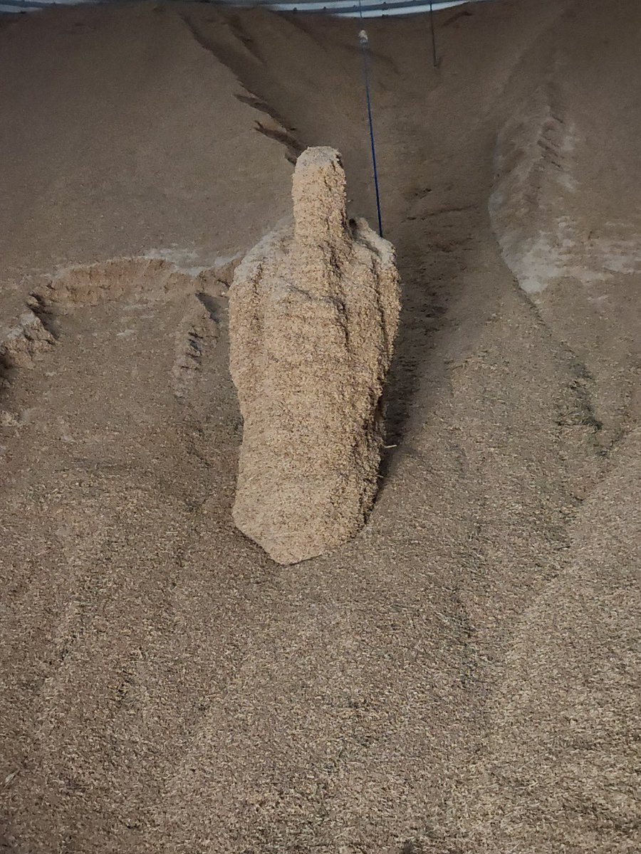 FarmVoice tweet media