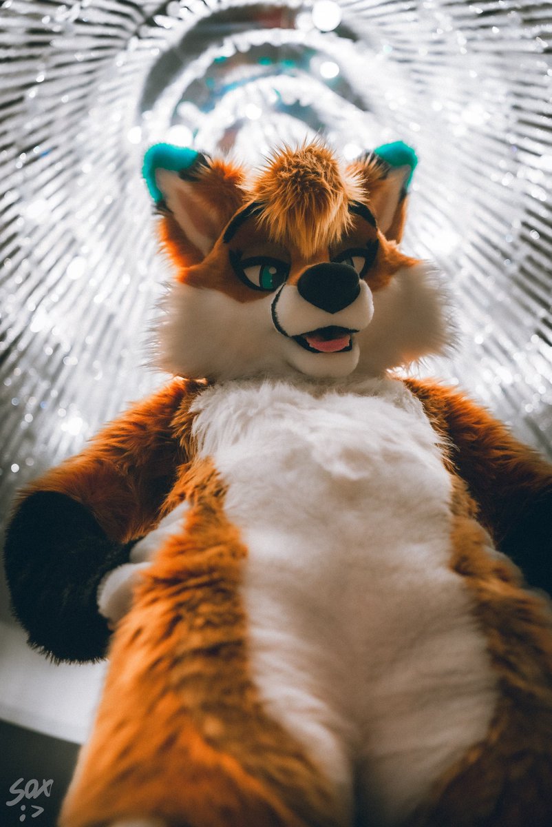 Autumn 🦊🔜TFF tweet media