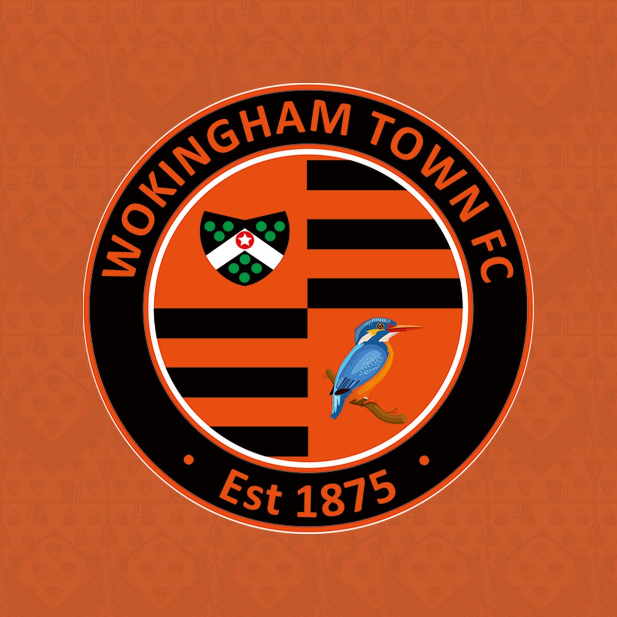 Wokingham Town FC Development tweet media