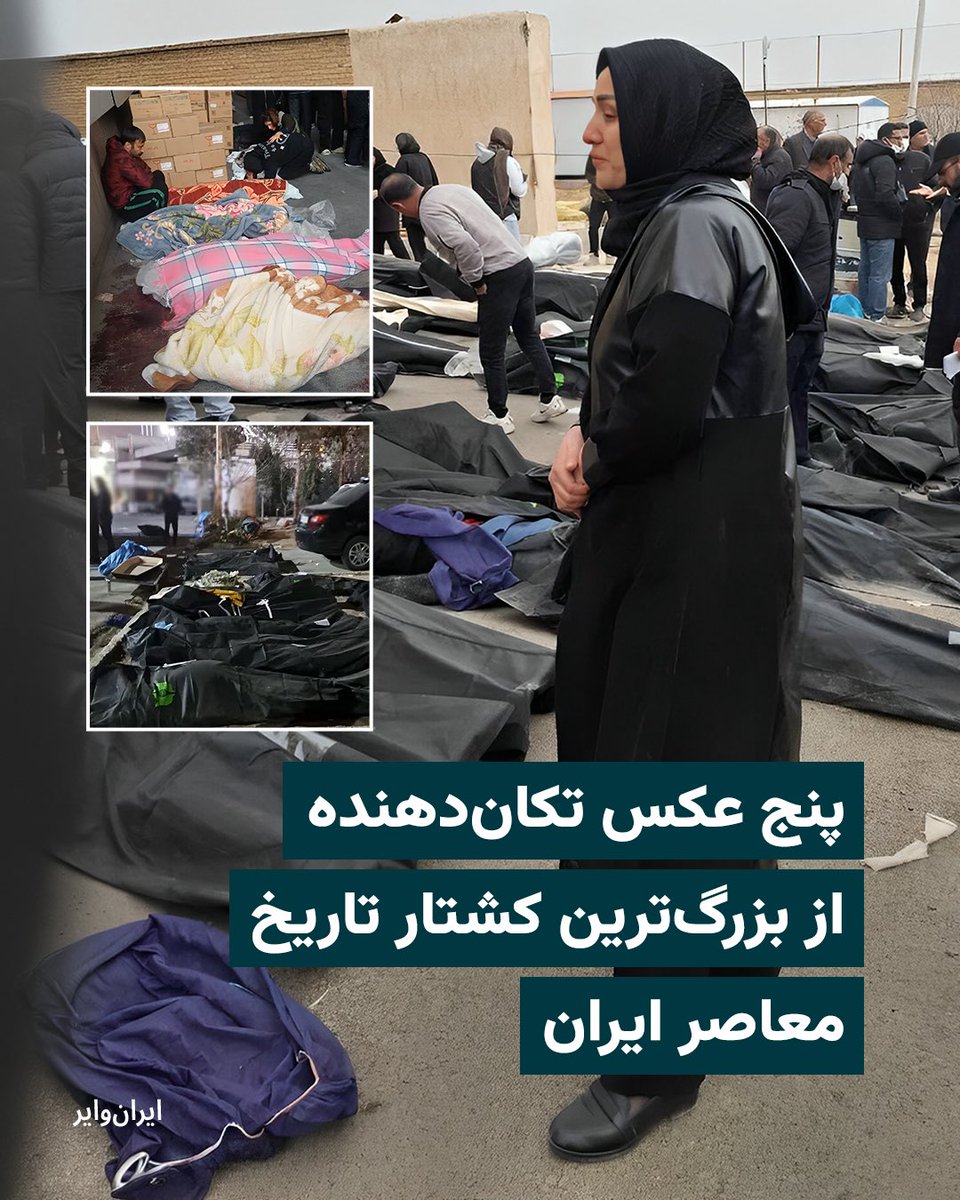 سرکوب اعتراضات دی‌ماه را می‌توان نقض سازمان‌یافته حقوق بشر ایرانیان توسط جمهوری اسلامی ایران خواند که در طی مدت‌زمانی کوتاه، هزاران ایرانی بی‌دفاع را به کام مرگ کشاند. رویدادی که از منظر گستره و شدت، بزرگ‌ترین کشتار در تاریخ معاصر ایران و از موارد کم‌سابقه در سطح جهان است.