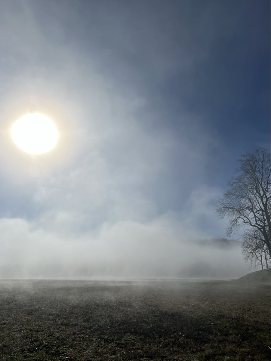 RidgeRunner 🇺🇸 tweet media