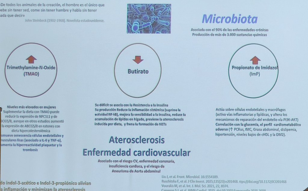 SEMERGENap's tweet photo. ⚡Magnífica y diferente Conferencia Magistra sobre '#DISLIPEMIA: entre la luz de la evidencia y la sombra de la incertidumbre. Una entrevista diferente' con @anamoya48 y el Dr. Adalberto Serrano Cumplido.
#CardioSEMERGEN26 https://t.co/DP3d0SgFhy