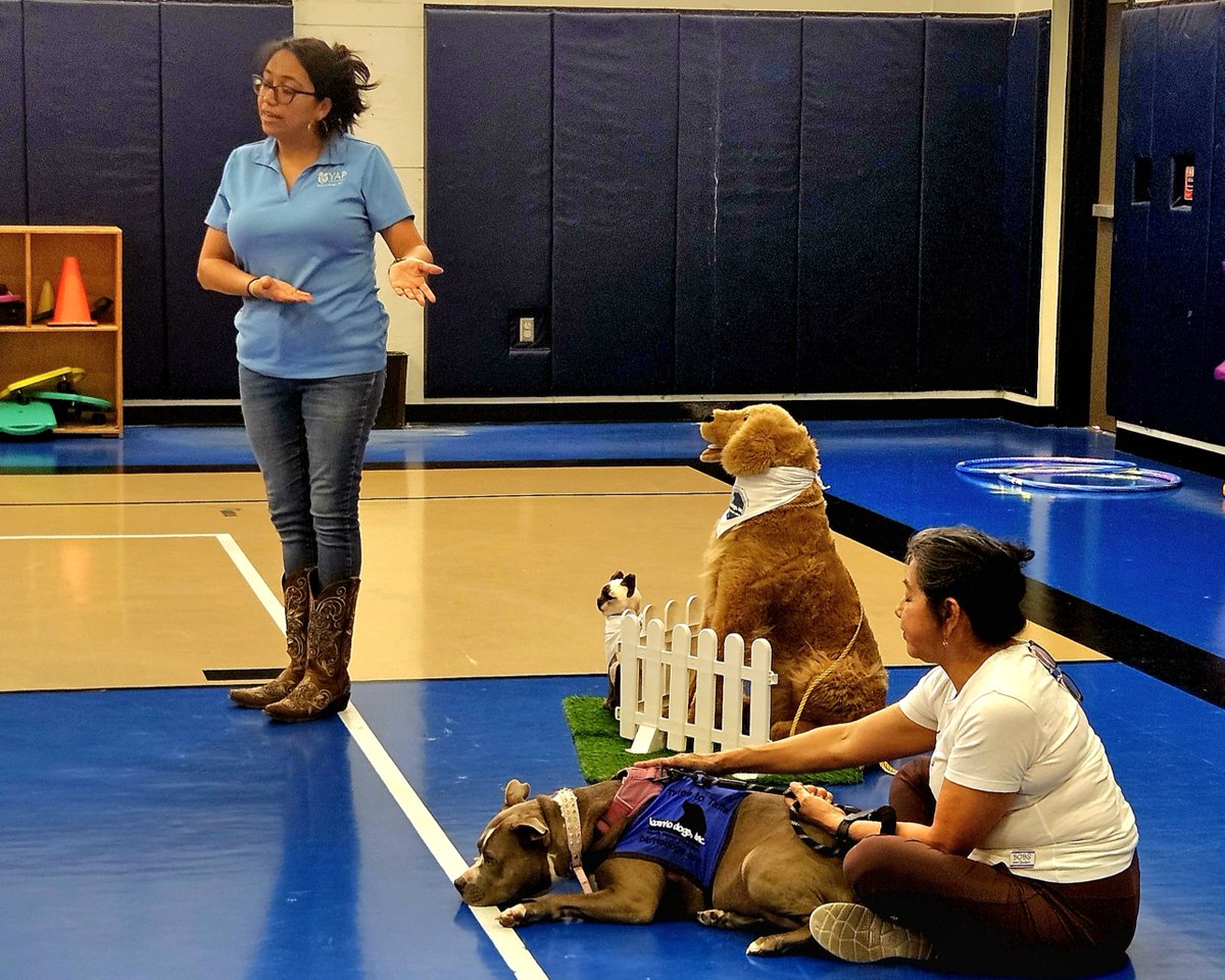 Barrio Dogs, Inc. tweet media