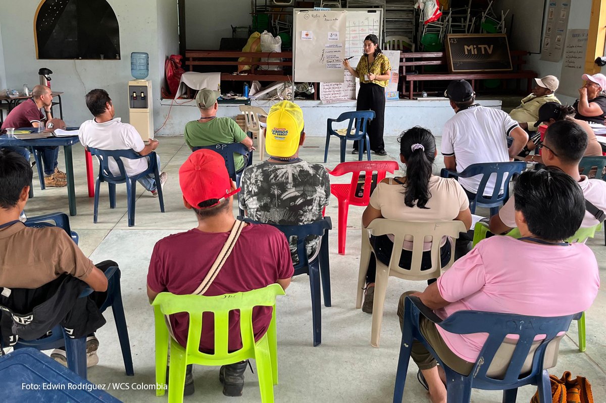 WCS Colombia 💚 tweet media