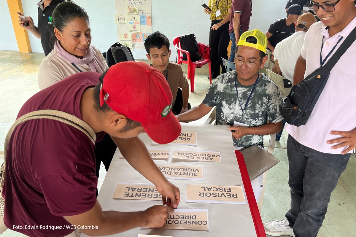 WCS Colombia 💚 tweet media