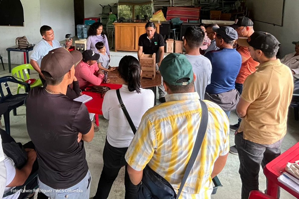 WCS Colombia 💚 tweet media