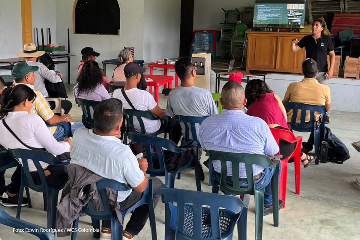 WCS Colombia 💚 tweet media