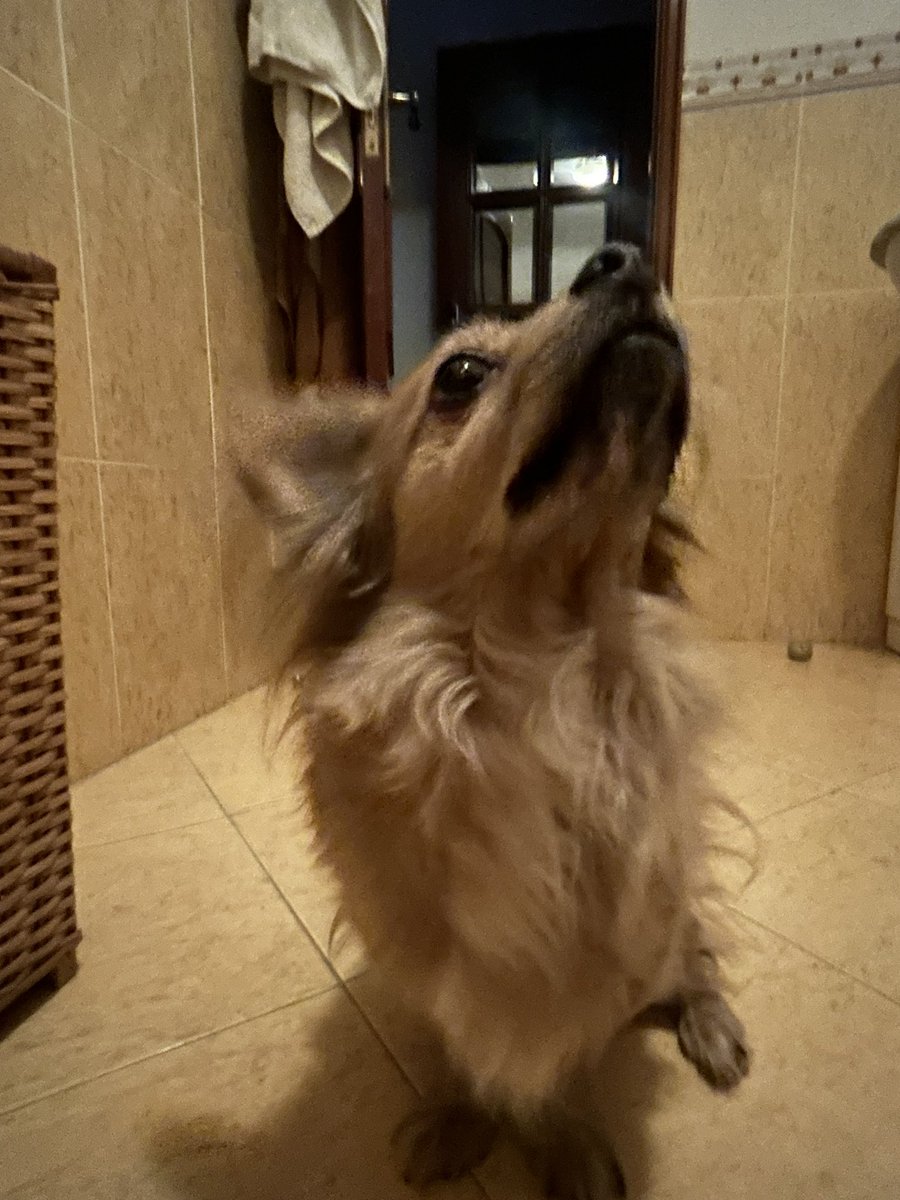 JuriJinx tweet media