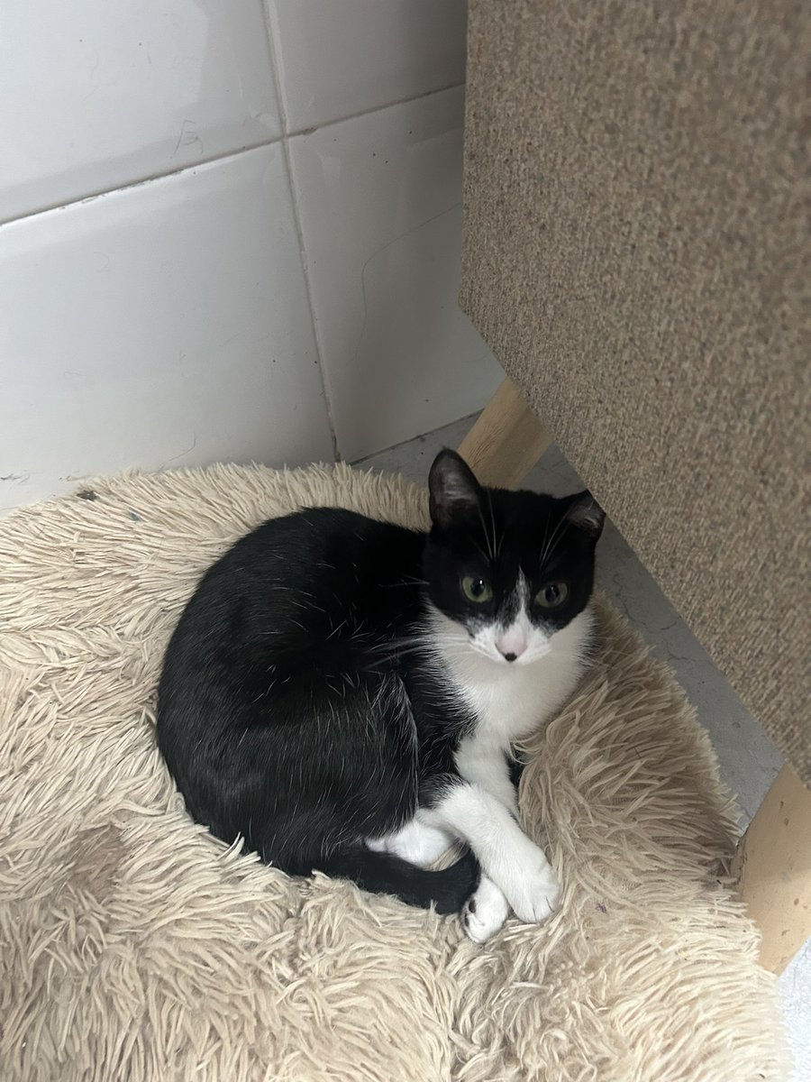 JuriJinx tweet media