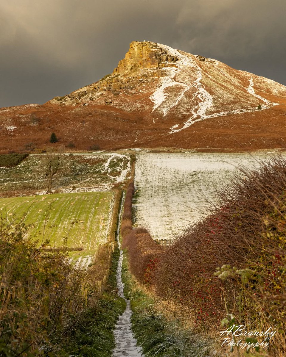 North Yorkshire tweet media