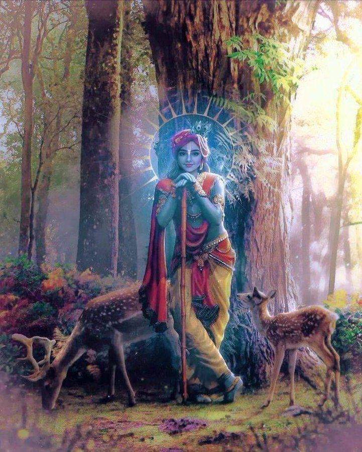 Krishna Dharma tweet media