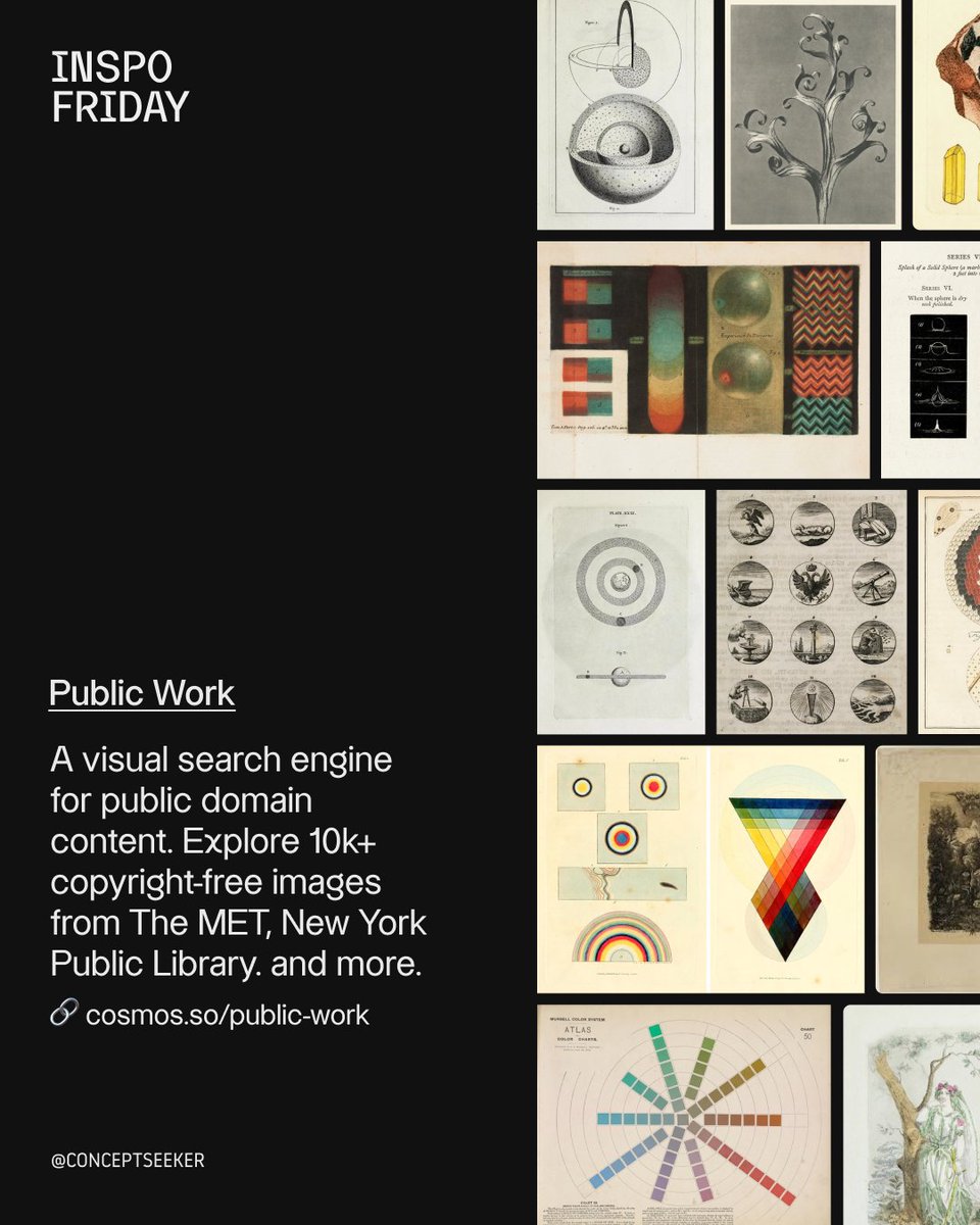 Conceptseeker tweet media