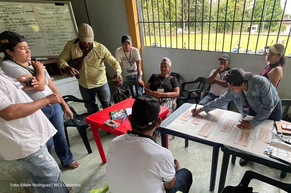 WCS Colombia 💚 tweet media