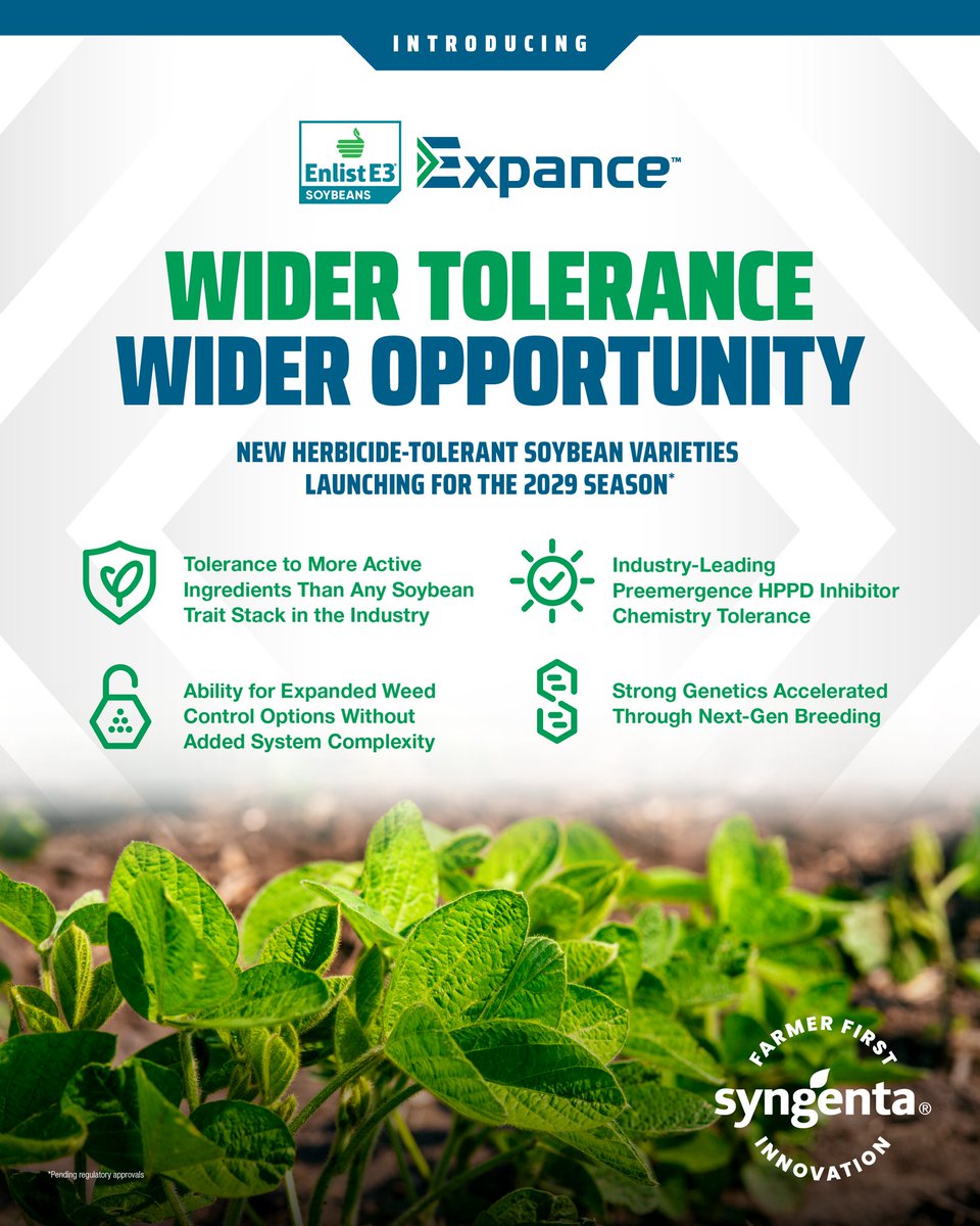 NK® Seeds Canada tweet media