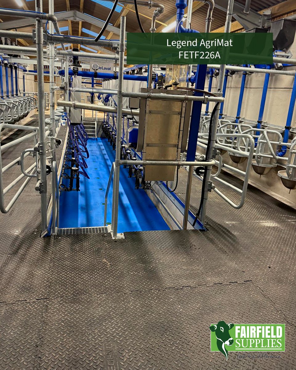 FairfieldSale's tweet photo. FETF Window Closes Soon - Don't Miss Out! 🐮

Our proven solutions are built to boost herd comfort, improve output, and keep your farm running at its best.
Don’t miss the funding window - get in touch today

https://t.co/MBhtnyRluW

#farmer #farm #farming #rubbermatting https://t.co/wgKstccSlh