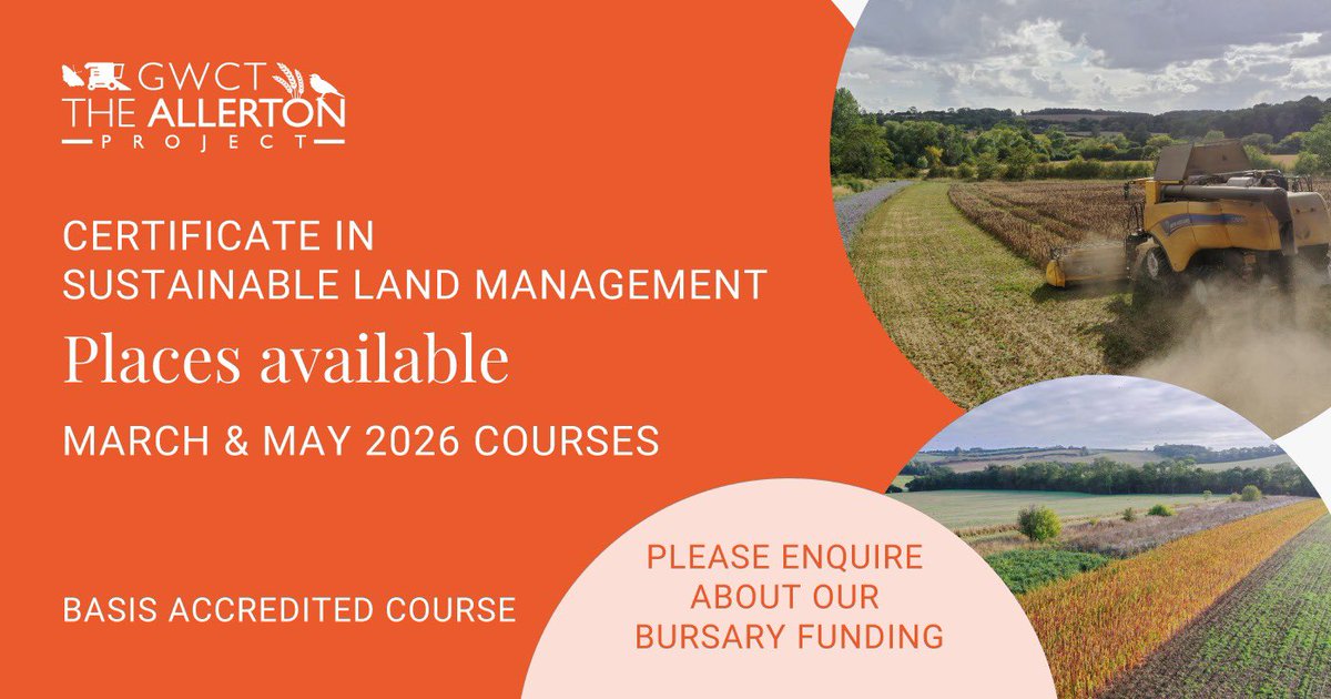 The Allerton Project tweet media