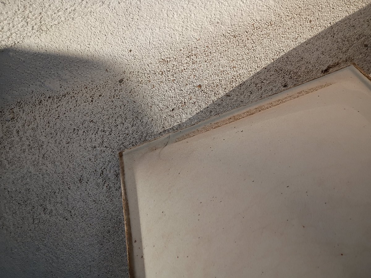 Cake_Kee_'s tweet photo. Replace a crack lens on a skylight 2x4
.and water when on the. Lens in the inside
So am going to have to clean the lens up an put it back in now.
And replace the lens with a new one and put it back together πΈπΈ
#foamroofs
#replaceskylightslens
#nativeroofing https://t.co/TLDpl0AkvF