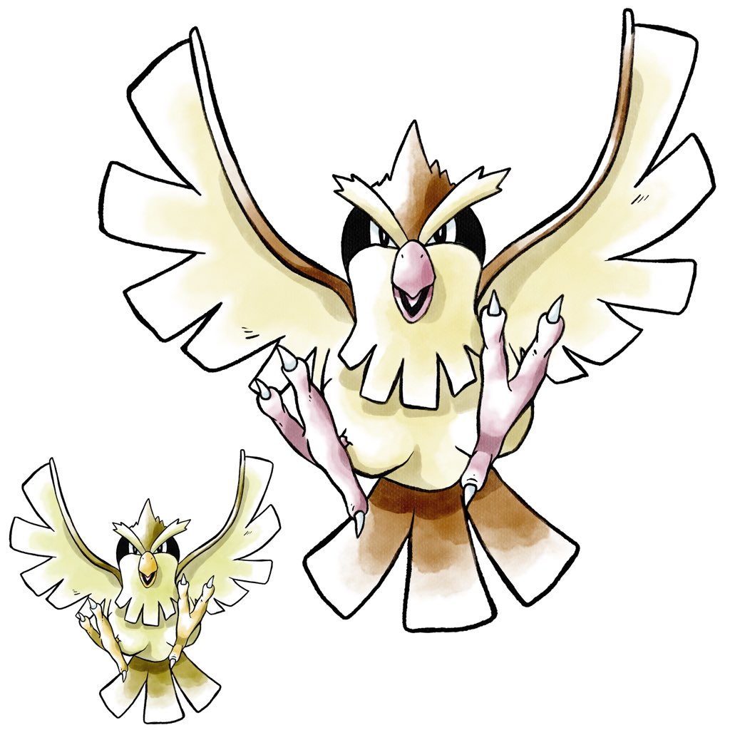 The domiNATION ART tweet media