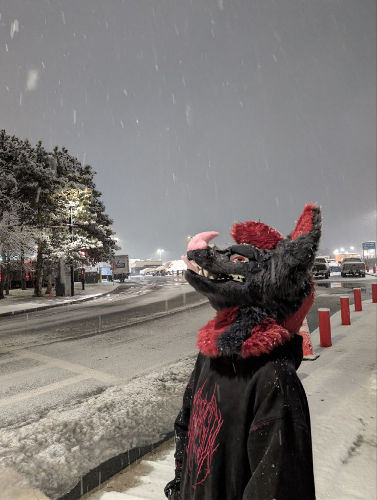 He’s so stupid what is he looking at 

#FursuitFriday