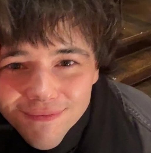 jack wolfe as cats tweet media