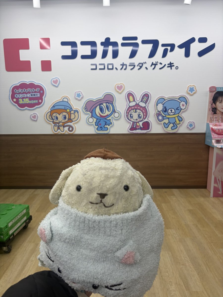 ∪・ω・∪ (@pakupurinn) / Posts / X