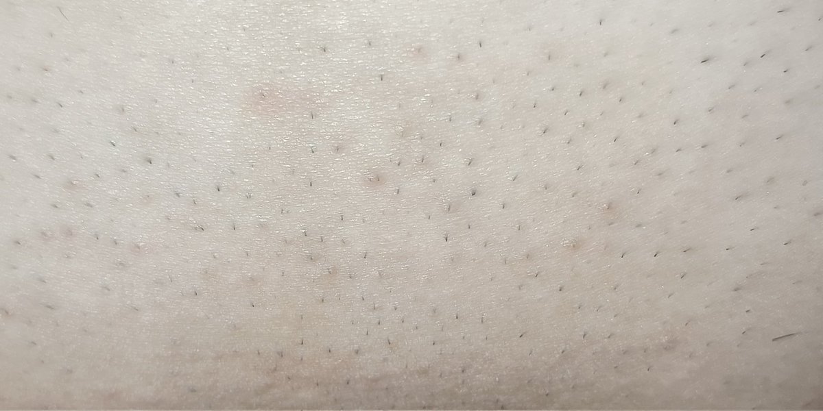 南瓜不喃 tweet media