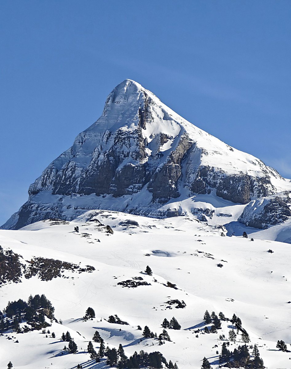Robocariz's tweet photo. Qué maravilla cómo está el Pirineo https://t.co/UrQuvcoIwc