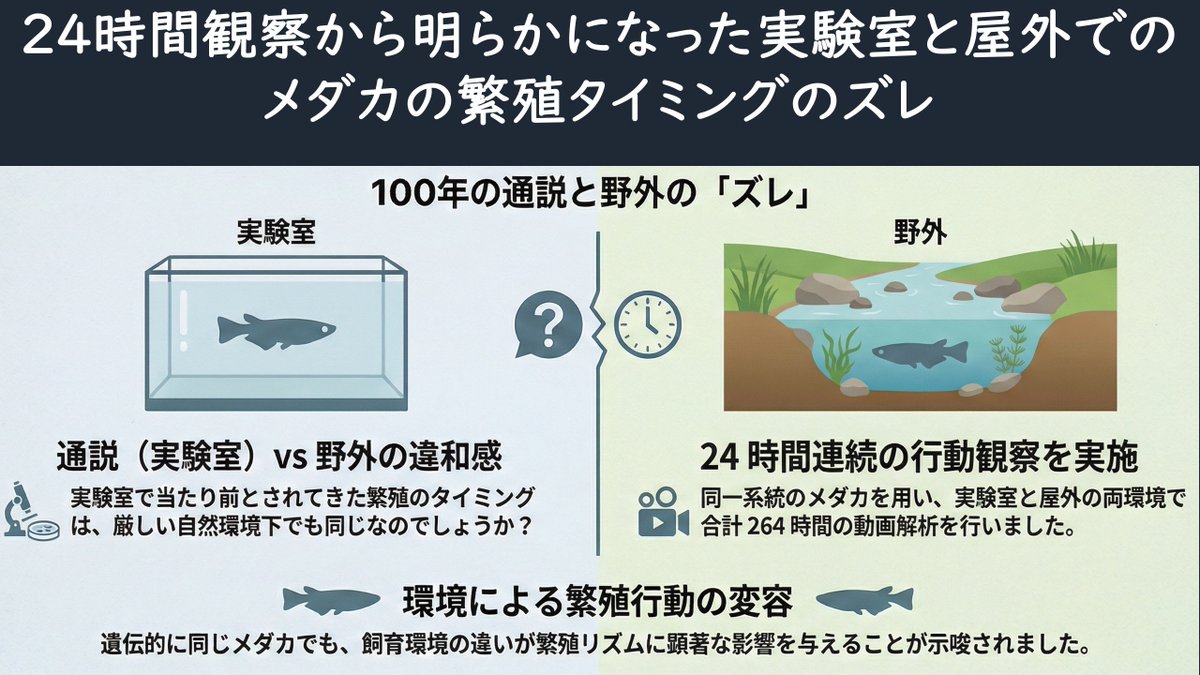Laboratory of Animal Sociology, OMU, JPN tweet media