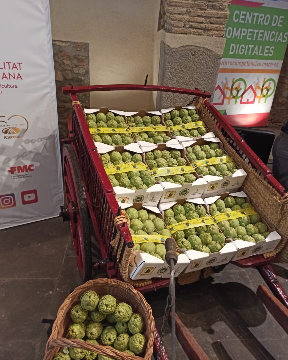 mestresdelsabor's tweet image. 🆕Hemos participado en el #ICongresoNacionalAlcachofa #Benicarló un encuentro que ha reunido a toda la cadena de valor para analizar presente y futuro del sector: producción, industria, comercialización y consumo, destacando sostenibilidad y la importancia de la #DOP
@CoopsAgroCV