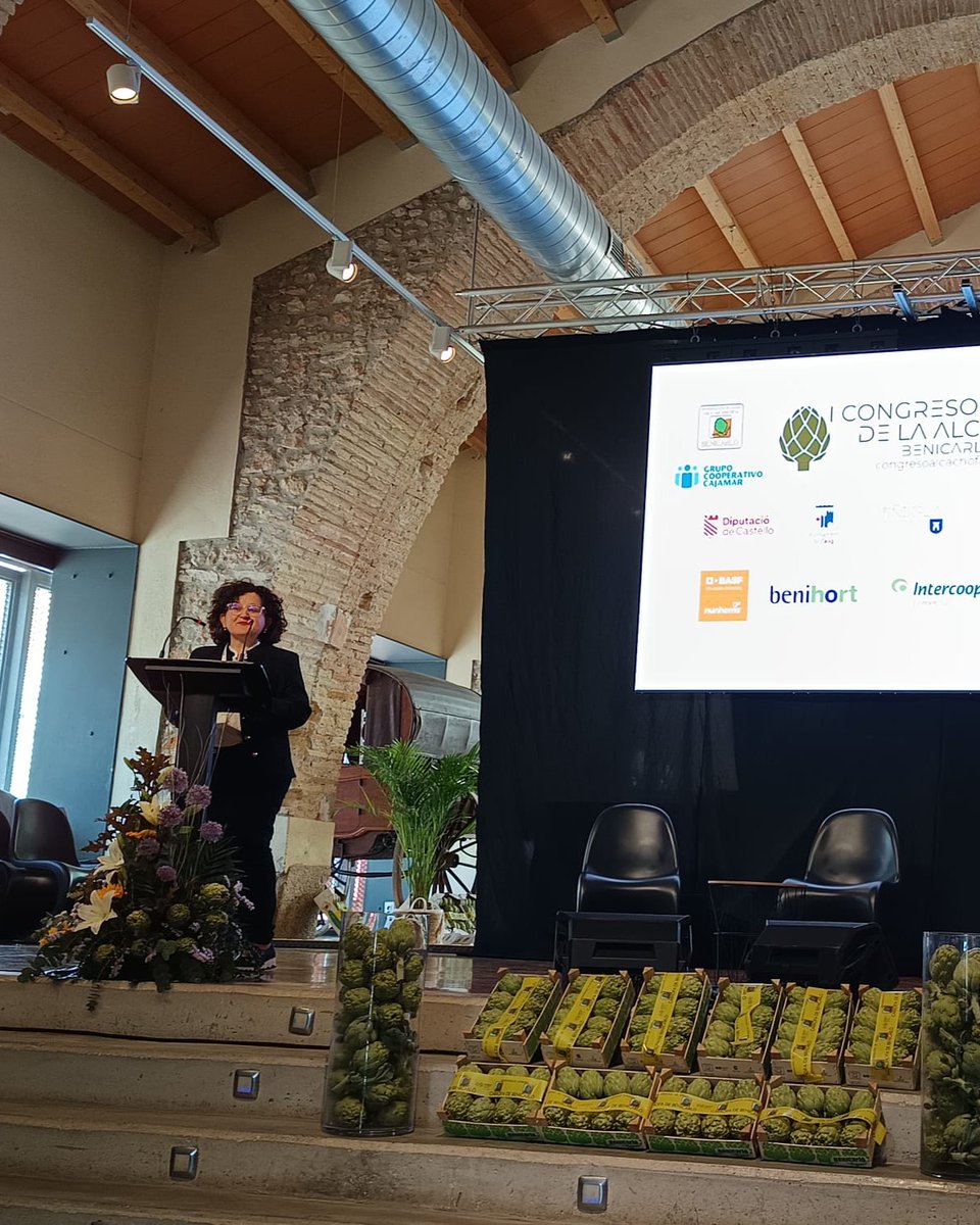 mestresdelsabor's tweet image. 🆕Hemos participado en el #ICongresoNacionalAlcachofa #Benicarló un encuentro que ha reunido a toda la cadena de valor para analizar presente y futuro del sector: producción, industria, comercialización y consumo, destacando sostenibilidad y la importancia de la #DOP
@CoopsAgroCV