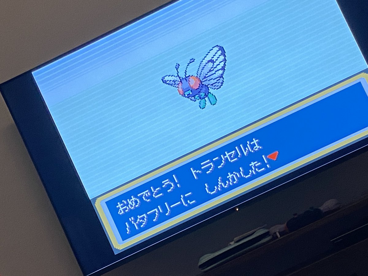 MdrnetToke's tweet photo. 必死こいてキャタピーから進化させたのに、バタフリーってこんな感じだっけ？ハエじゃん。 https://t.co/wRNaLGbz9H