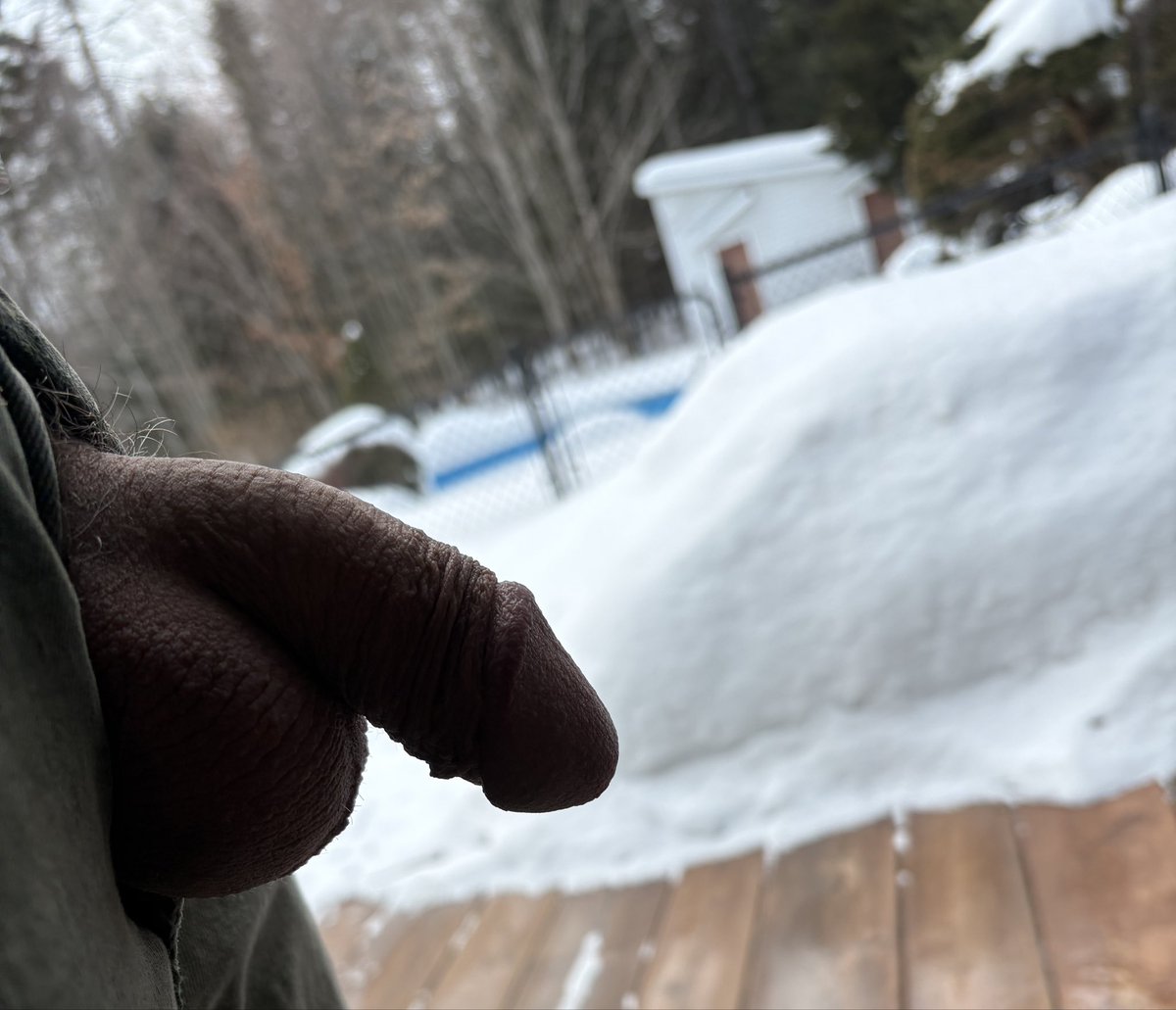 Bangbott2 tweet picture