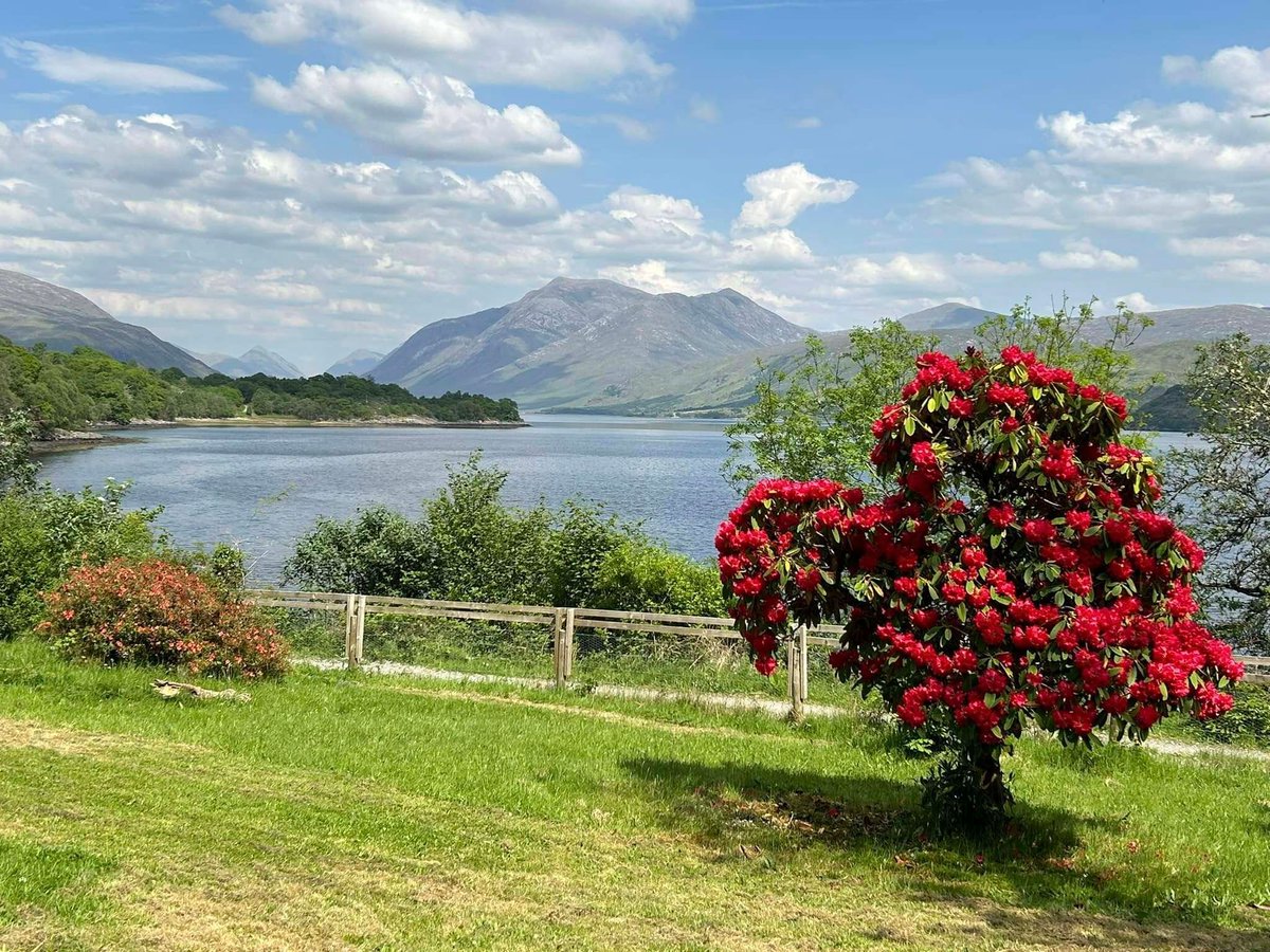 WeAcceptPets's tweet image. 🏔️ Craig Cottage 🏔️

Surrounded by dramatic scenery and peaceful countryside, Craig Cottage provides the perfect opportunity to switch off from the everyday and reconnect with nature. 🌄

Accepts 🐶
weacceptpets.co.uk/Argyll/8532 

#CraigCottage #ScotlandRetreat #OffGridLiving #Scotland