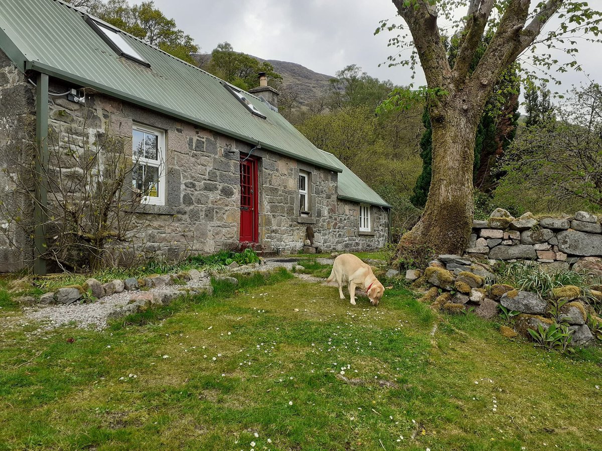 WeAcceptPets's tweet image. 🏔️ Craig Cottage 🏔️

Surrounded by dramatic scenery and peaceful countryside, Craig Cottage provides the perfect opportunity to switch off from the everyday and reconnect with nature. 🌄

Accepts 🐶
weacceptpets.co.uk/Argyll/8532 

#CraigCottage #ScotlandRetreat #OffGridLiving #Scotland
