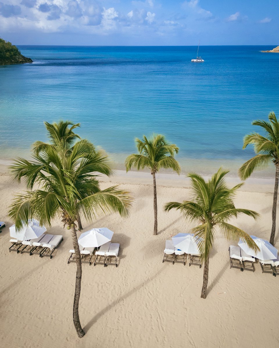 Carlisle_Bay's tweet photo. π· Beautifully captured by @postcardsfrom.tina
Carlisle Bay, where soft sands, crystal, clear waters, and endless skies create moments
worth framing
#CarlisleBay #IslandElegance #CaribbeanParadise #BeachViews #LuxuryEscape
#MomentsCaptured #Antigua #LHWTraveler https://t.co/ieb5knFibe