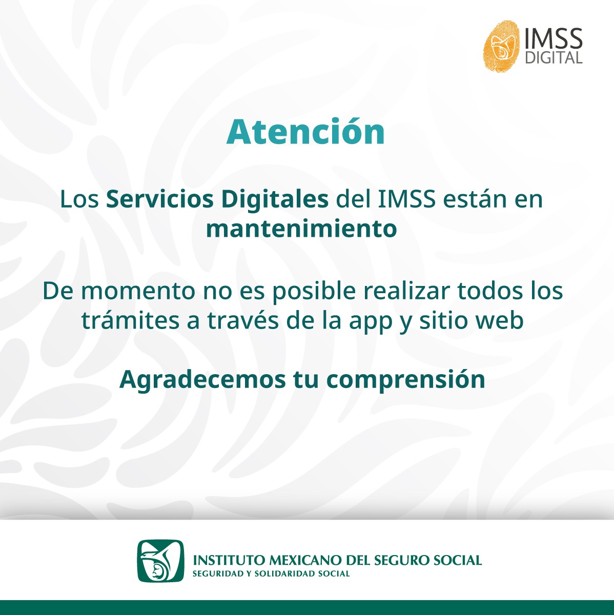 IMSS Digital tweet media