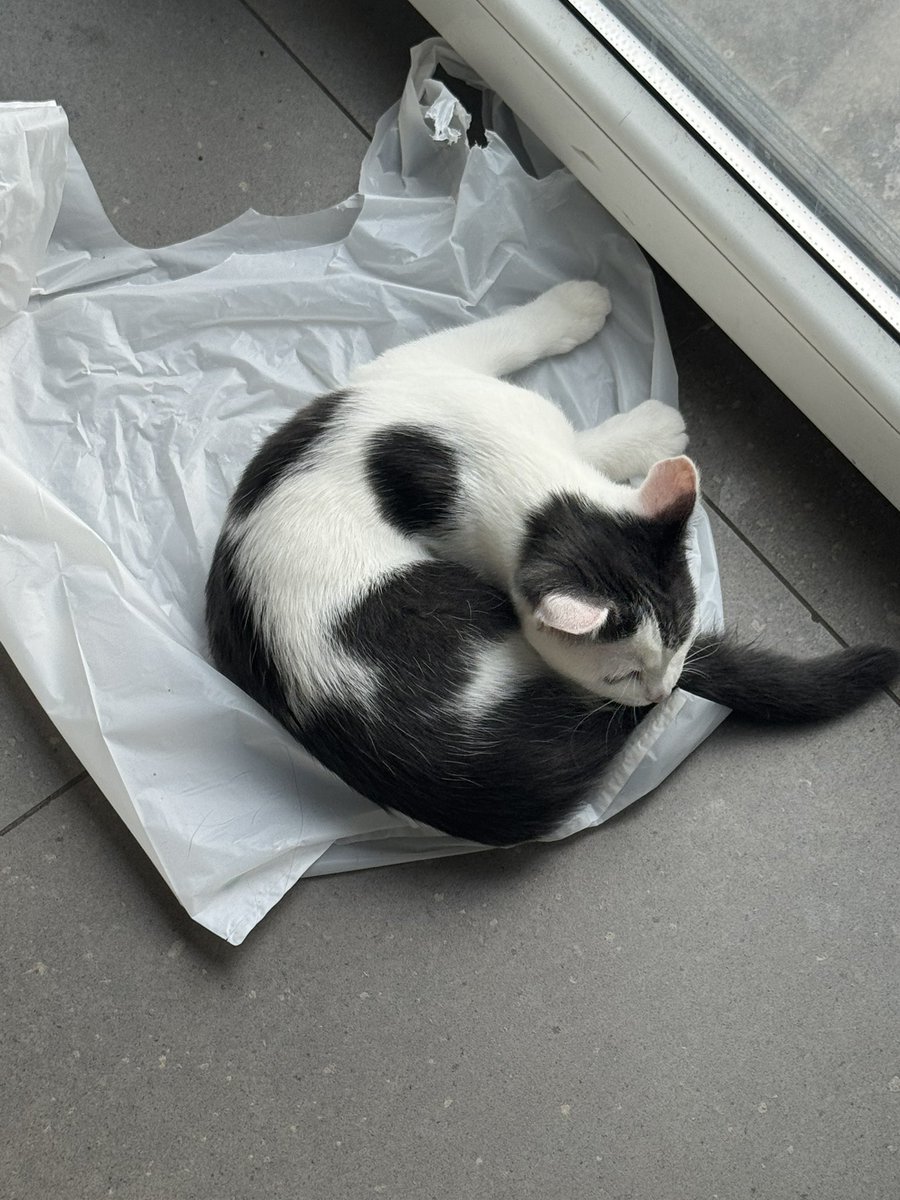 Хто знає для чого та штука на задньому фоні?