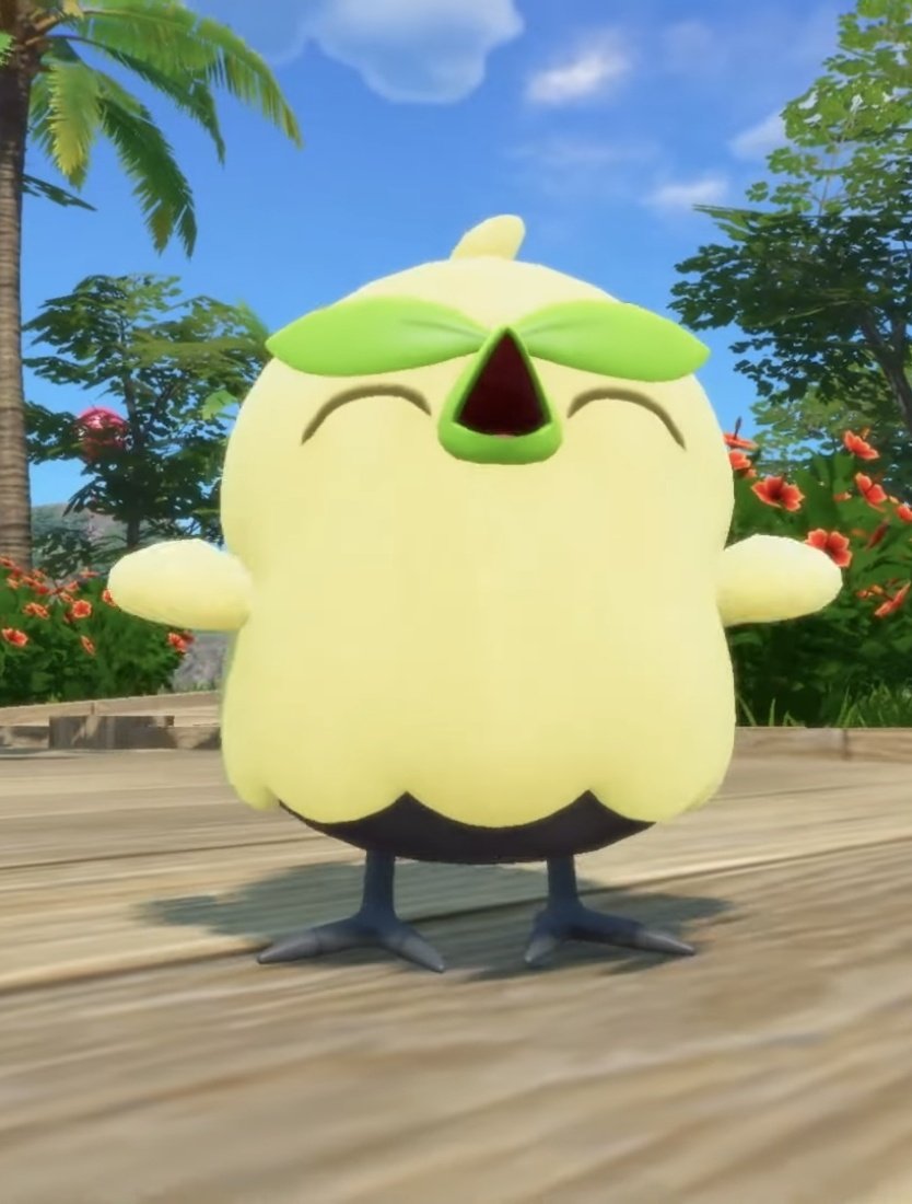 MAGIKARP🦈💦 tweet media