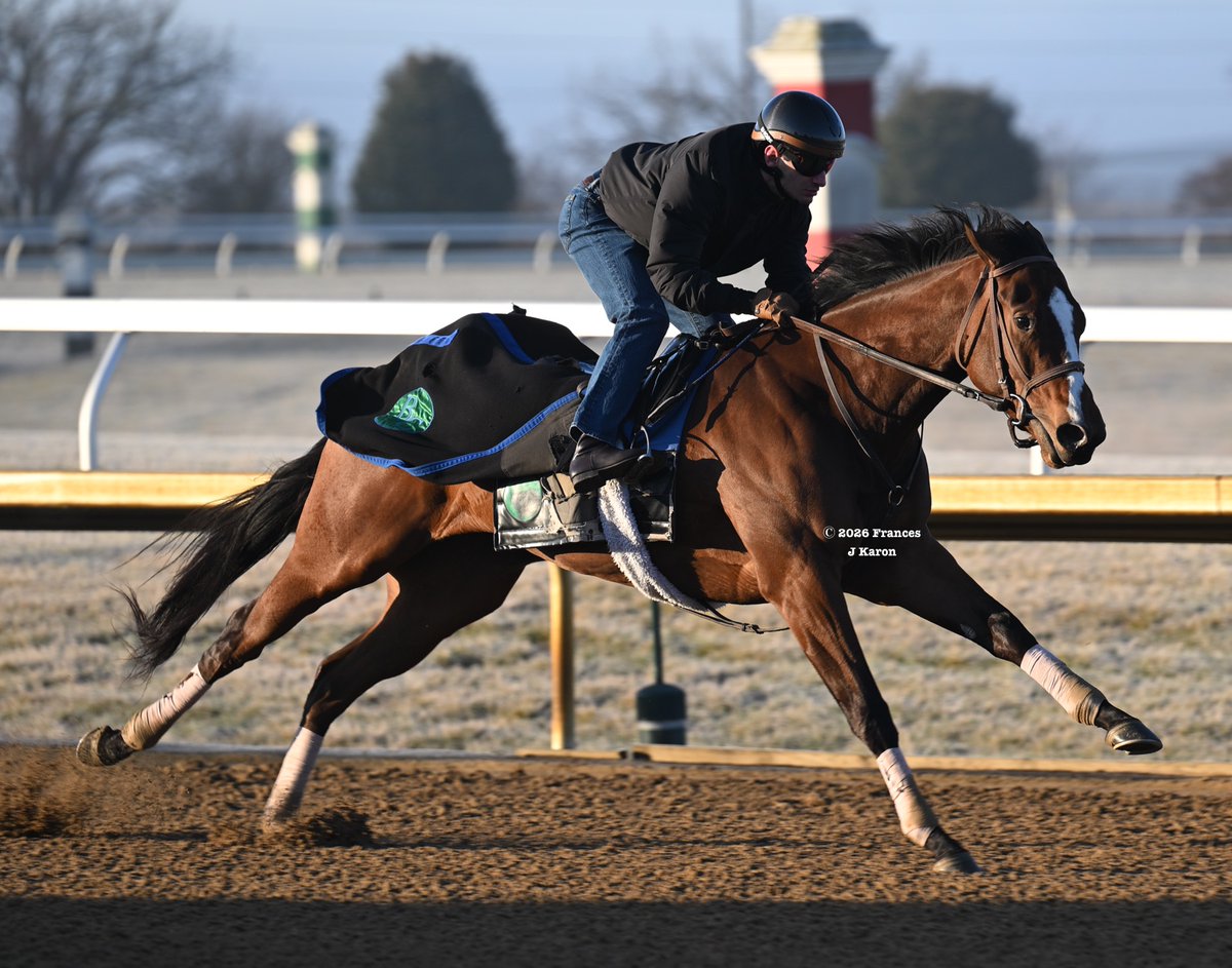 Frances J Karon tweet media