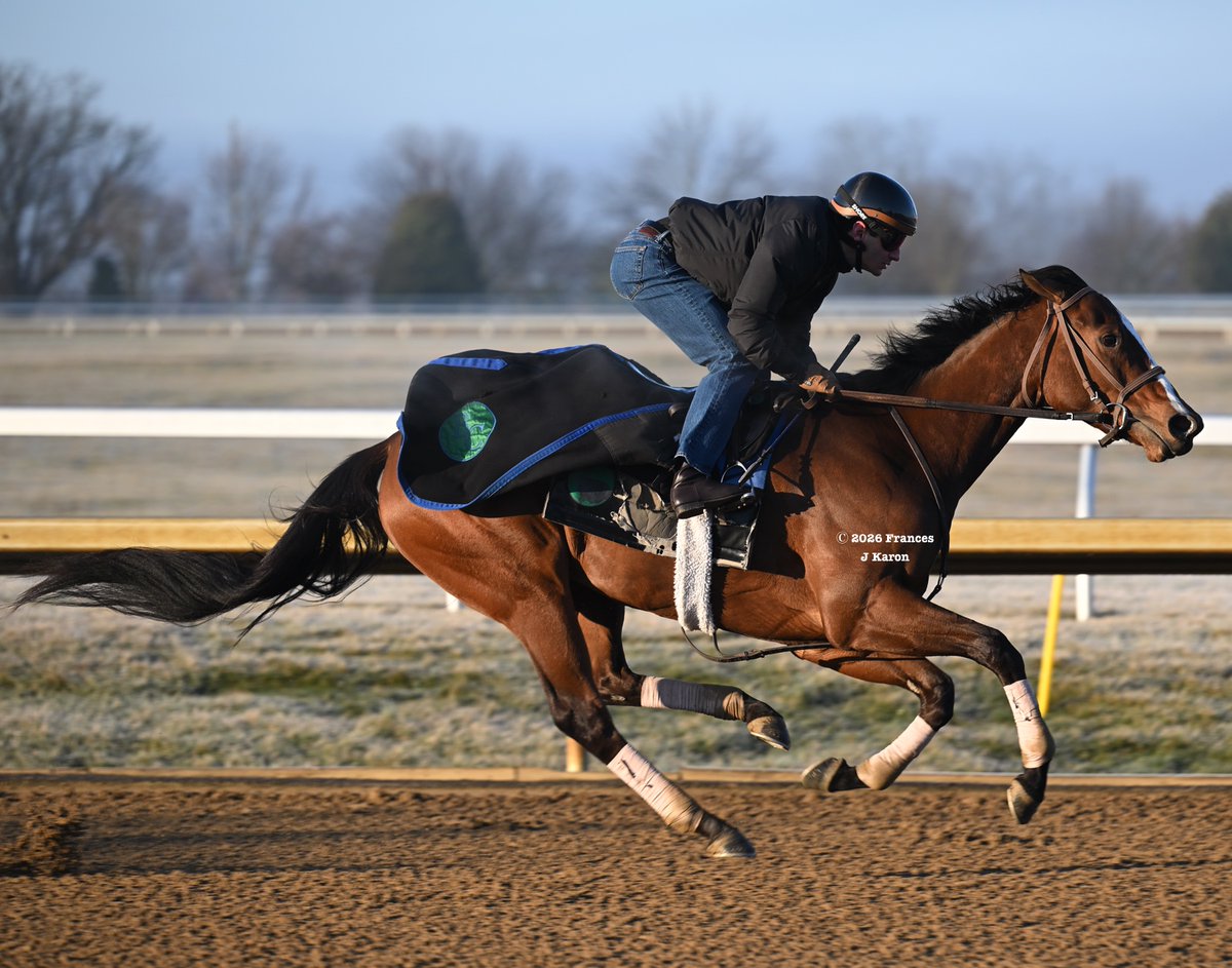 Frances J Karon tweet media