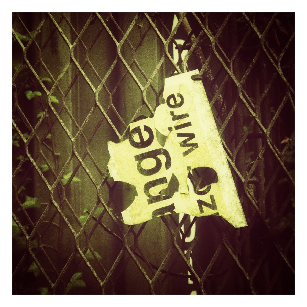 Dale Rockell tweet media