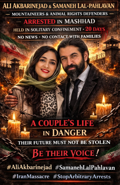 𝑮𝒍𝒆𝒏𝒏 𝑯𝒐𝒃𝒃𝒔' 𝒘𝒊𝒇𝒆⁷ ⊙ ⊖ ⊜🇮🇷 tweet media
