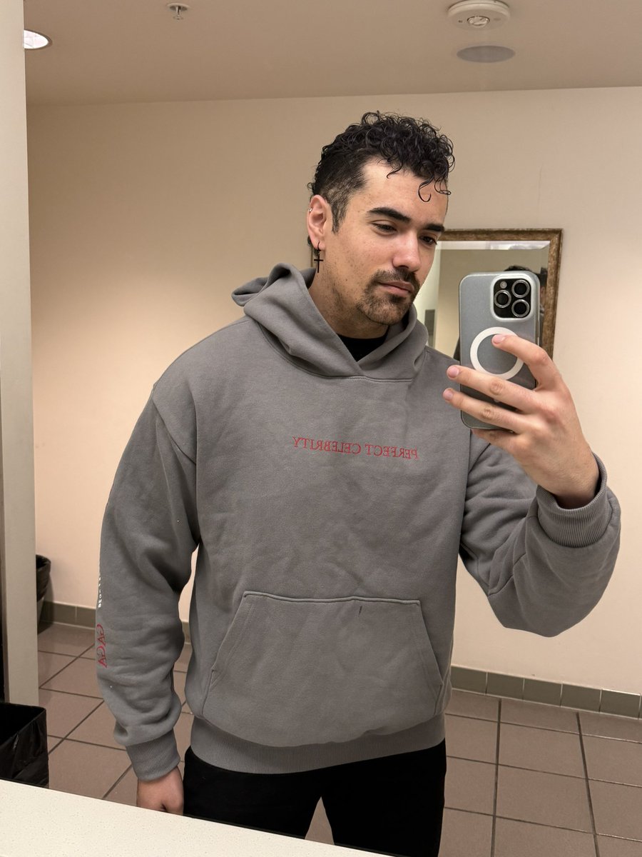 The Perfect Celebrity 🩶