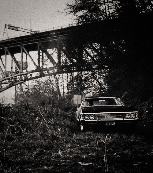 ⁫⁫ ⁫⁫* ⁫ ‍ ⁫ᅠ𝐌A͜͡𝙽 ᅠ𝐖𝐈𝐓𝐇꩜𝐔𝐓 ᅠ𝐀ᅠ 𝐅𝐀𝐂𝐄 tweet media